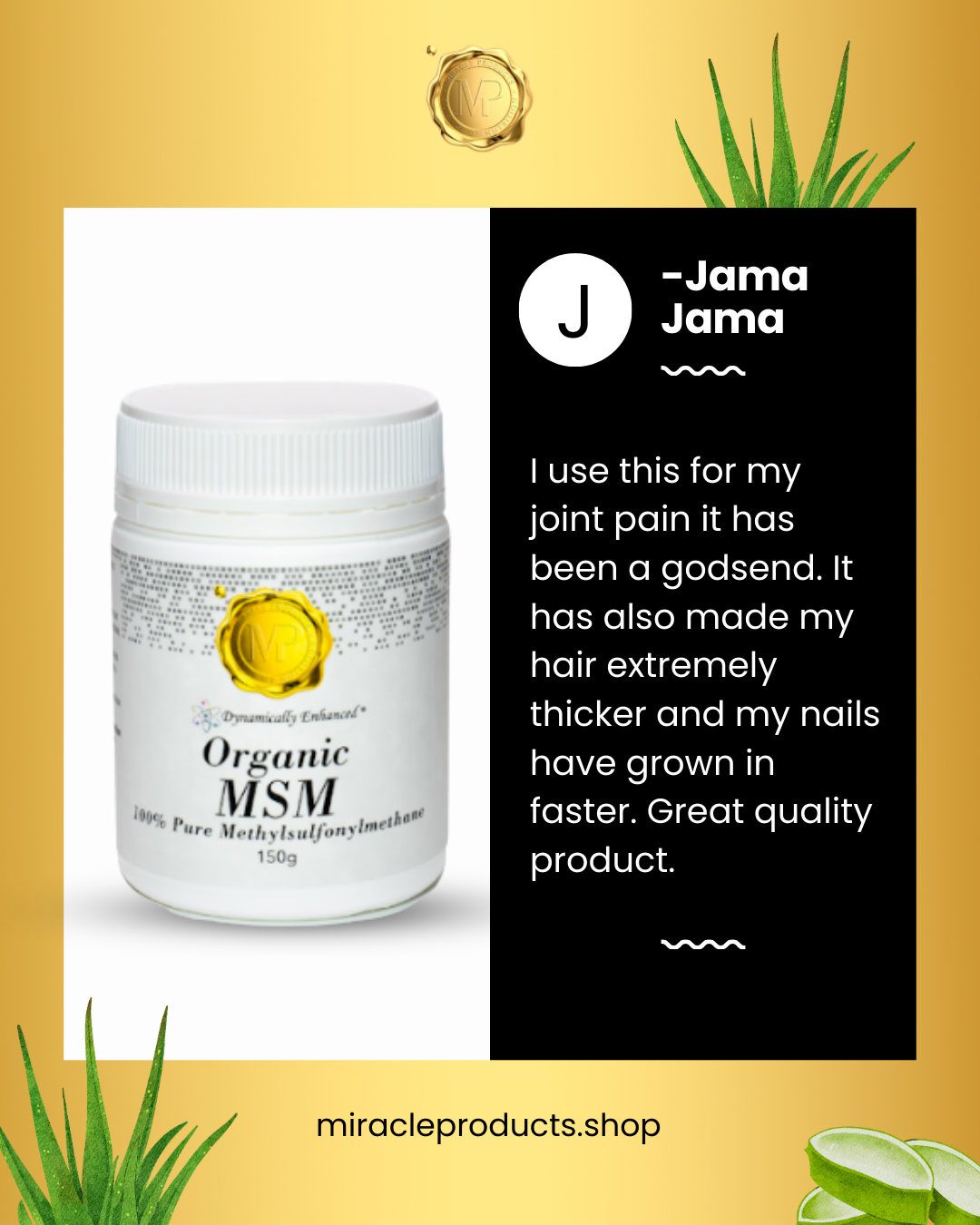 Mobility & Glow-Up Bundle - Save $10!