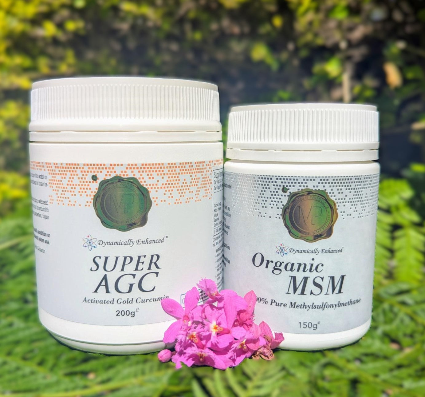 Mobility & Glow-Up Bundle - Save $10!