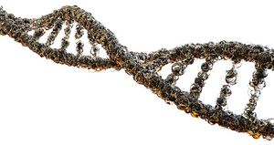 Repair & Protect Your Genes, DNA, & RNA