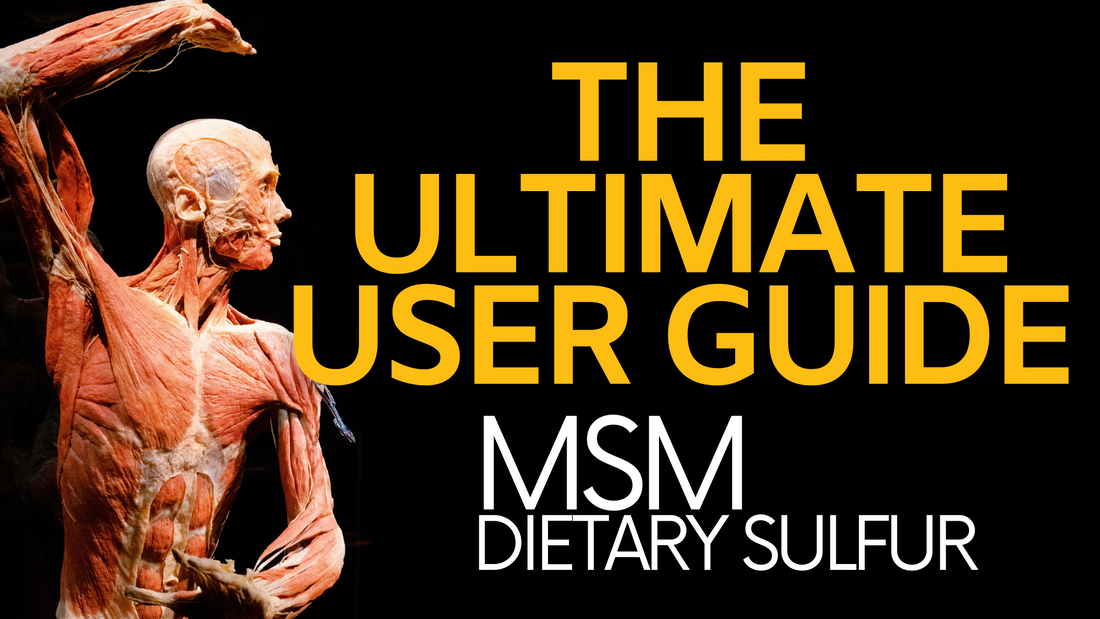 MSM Dietary Sulfur | Ultimate User Guide