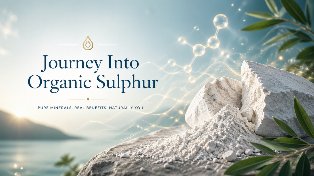 Guide to MSM dietary sulfur covering benefits, uses, dosage, safety, and natural sources for health and recovery.