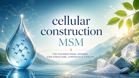 msm sulfur benefits for joint health detox and skin support