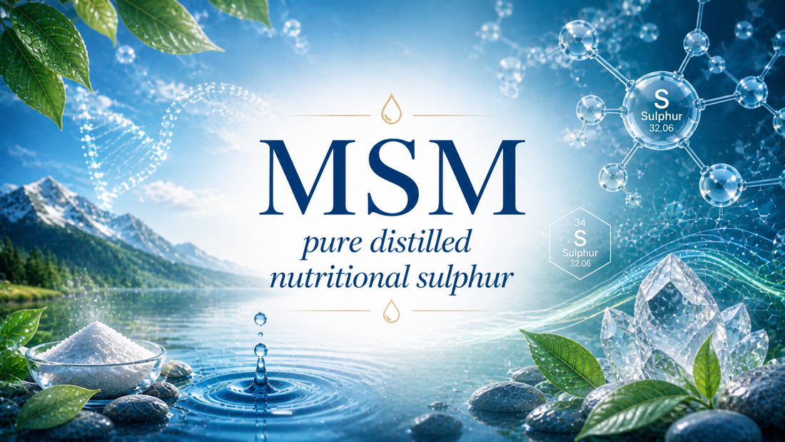 benefits of methylsulfonyl methane for inflammation detox and wellness