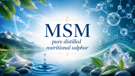 benefits of methylsulfonyl methane for inflammation detox and wellness