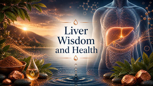 fatty liver support and detox strategies for liver health