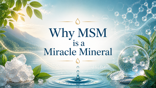 benefits of msm sulfur for joint health detox and overall wellness