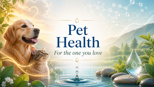 pet health support and natural wellness approaches for animals