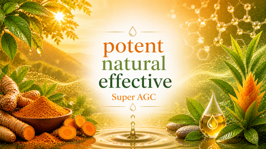 powerful health benefits of activated curcumin for inflammation and wellness support