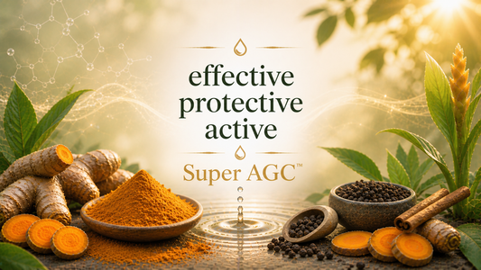 benefits of activated curcumin for inflammation support and overall wellness