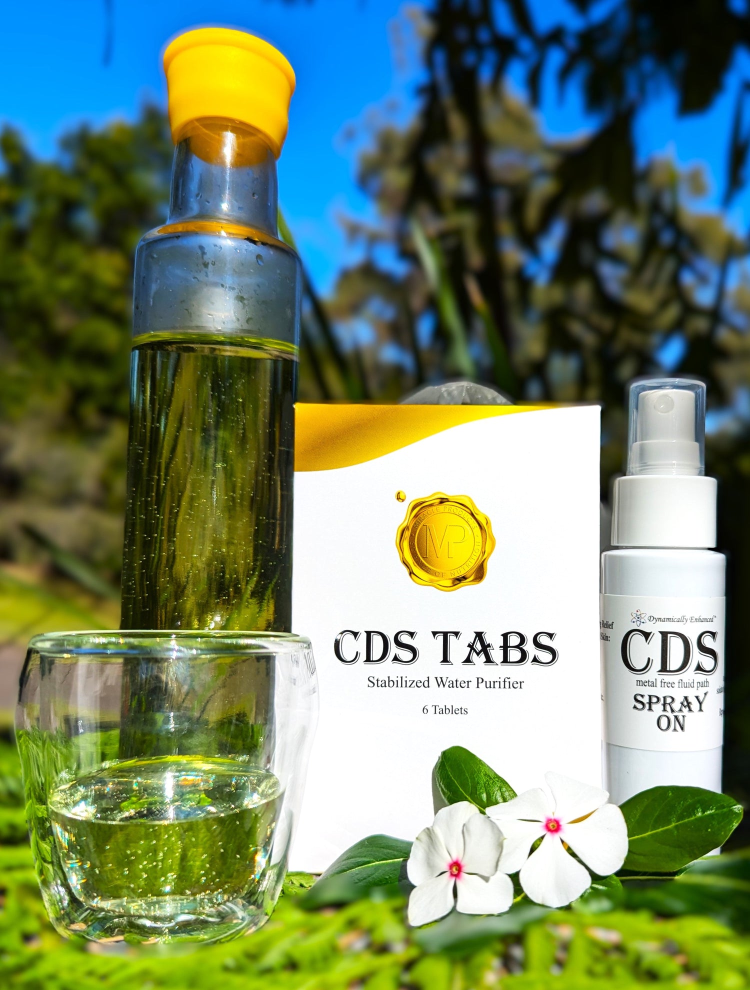 CDS - Chlorine Dioxide