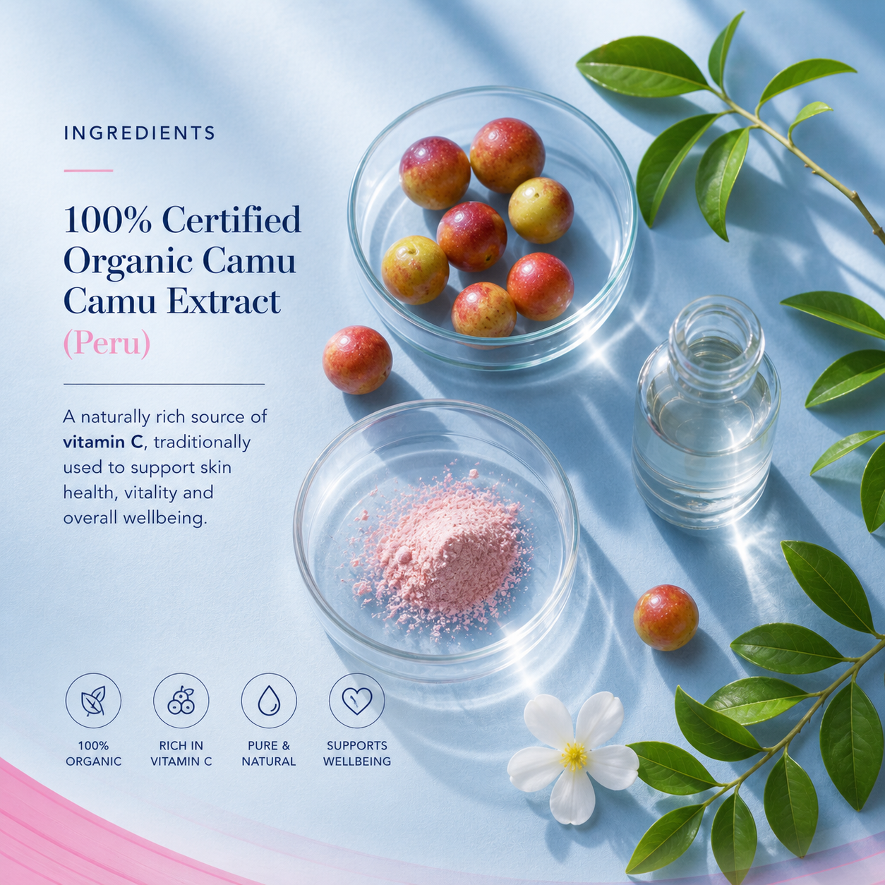Camu Camu, The Ultimate Superfood For Youth & Vibrancy